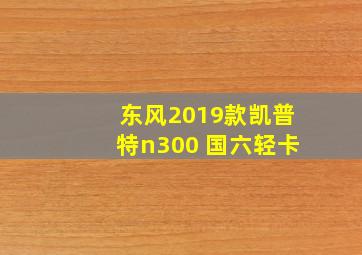 东风2019款凯普特n300 国六轻卡